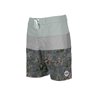 BOARDSHORT PALMISLAND GHU